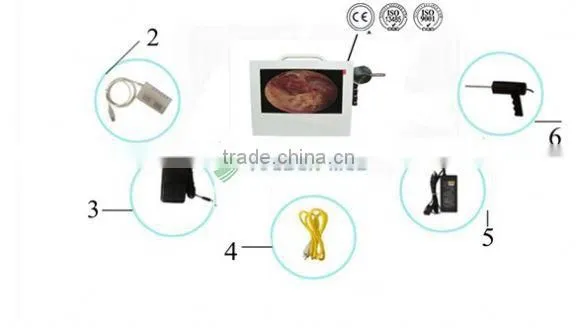 YSVET-500EJ LED Light Source Animal Ear Diagnosis Veterinary Otoscope photo-2