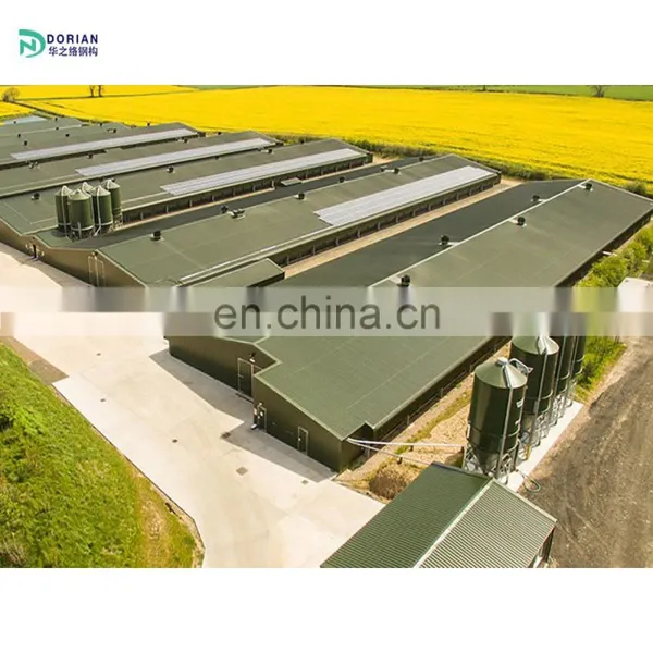 Broiler Chicken House Poultry Farming Farm House With Sink photo-5