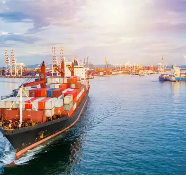 Zeebrugge Sea Freight Shipping Services From China/Fob/DDP/DDU to Zeebrugge photo-4