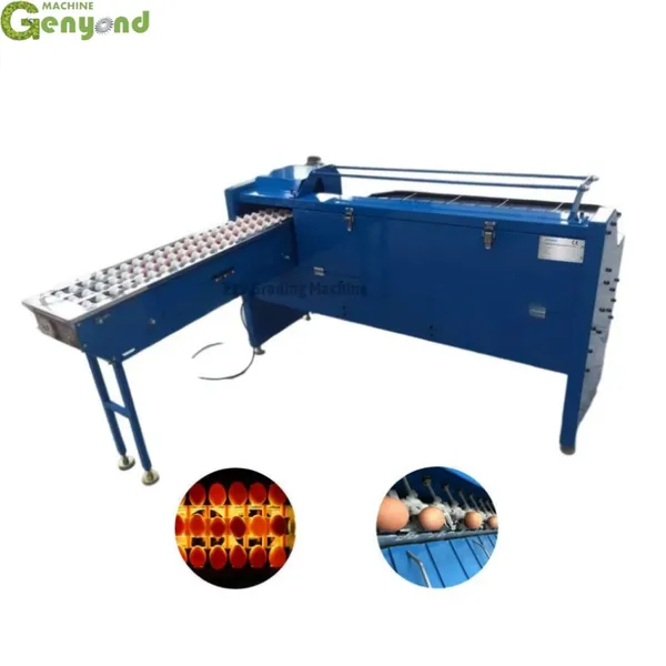 Egg Grading Machine Automatic Egg Sorting Machine Chicken Egg Sorter for Homeuse photo-5