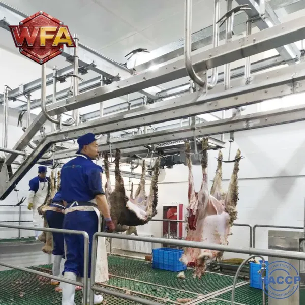 Halal Sheep Slaughtering Equipment Line Goat Abattoir Machinery Lamb Butchery Machine ISO 9001 Mutton Meat Production Plant