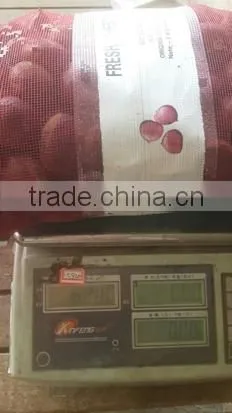2015 Crop Chinese Fresh Chestnut Best Quality for Export photo-2