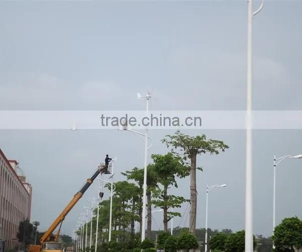 Hot Selling in Philippines 12V Solar Street Light With Battery photo-5