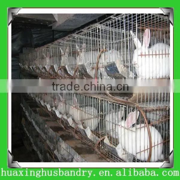 Used Rabbit Cages Designs For Sale Farming House Design