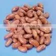 Long Type Peanut Kernel From China photo-3