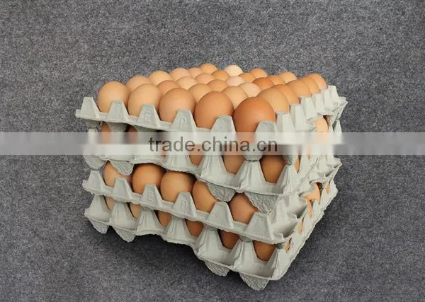 Pulp Egg Tray for Packaging AA Size