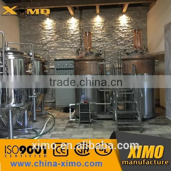 200L 300L 500L Hotel Beer Brewing Equipment,small Sized Beer Equipment photo-4