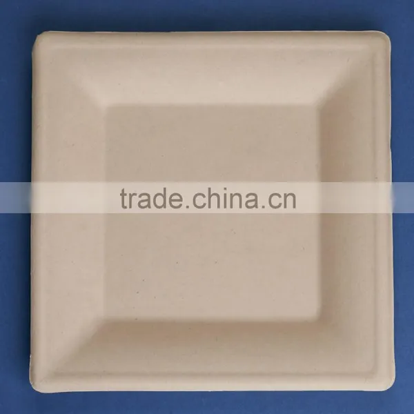 T028-UB Unbleached 10 Inches Disposable Flate Square Sugar Cane Paper Plate photo-3
