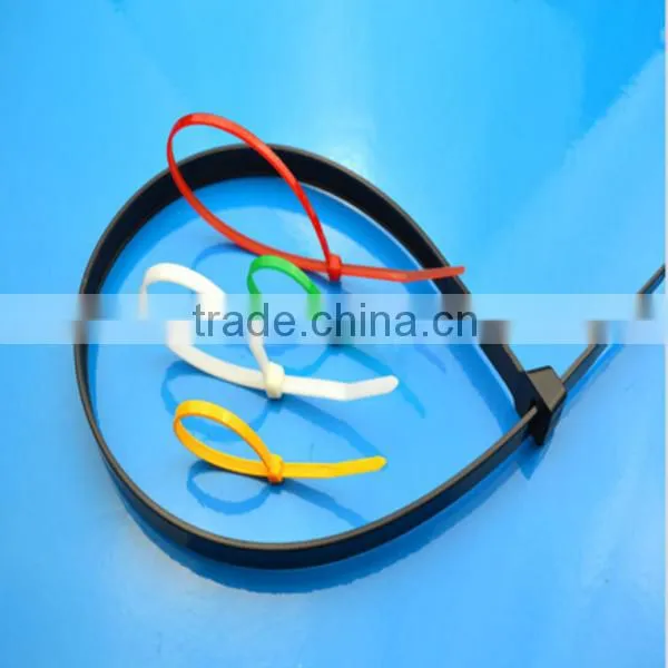 New Arrival Full Size 100 Pcs/Bag Nylon 66 Self Locking Kabelbinder photo-3