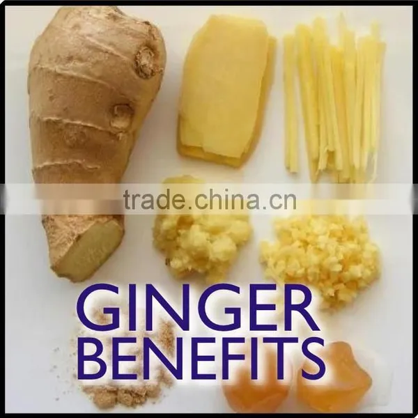 AIR DRIED GINGER 150G UP photo-5