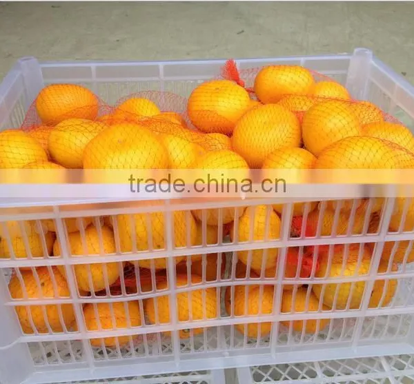 Companies Imported Fruit Orange Fruit Price photo-3
