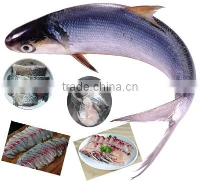 Half-dry and Fresh Fish Slice, Strips, Block, Cubes Cutter/flaked Fish Cutting Machine photo-2
