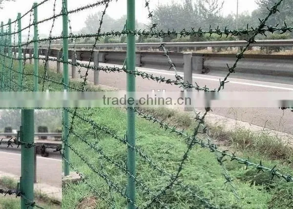 Cheap Galvanized Single Strand Barbed Wire photo-5