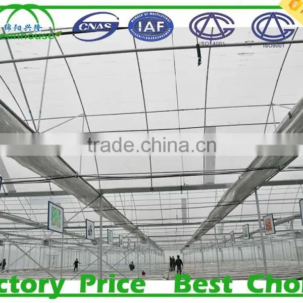 Commercial Industrial Greenhouse for Sale photo-3