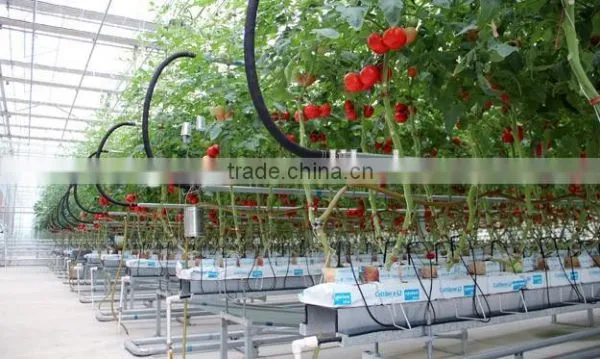 Vegetable Greenhouse photo-4