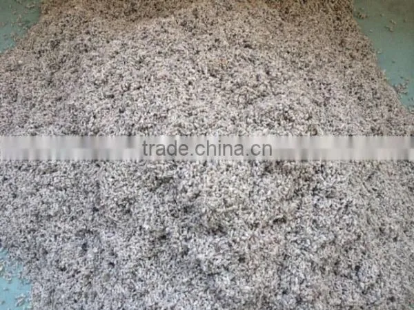 Cotton Seeds / Animal Feed / Cotton photo-2
