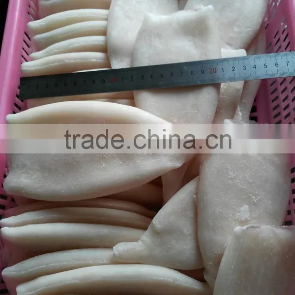 Frozen Fresh New Produced U5 Squid Tube photo-3