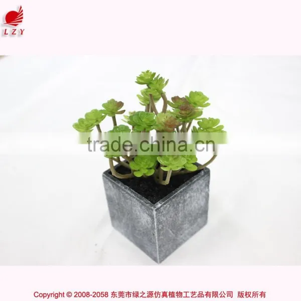 Artificial Tropical Plants in Pot Mini Green Plant Artificial Succulent for Garden Arrangement photo-2