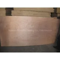 Poplar Plywood