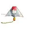 Professional Delta Kite
