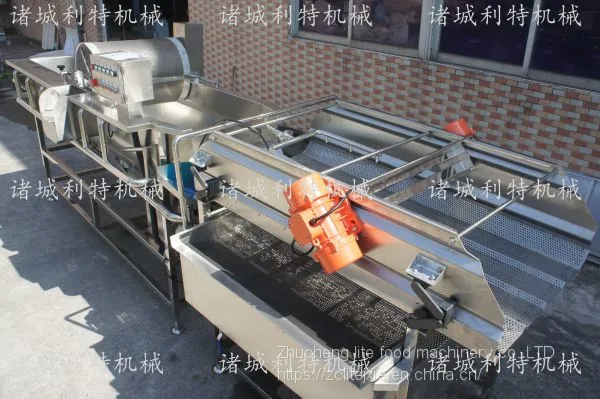 Clean Vegetable Water Washing Machine Clean Vegetable Eddy Current Cleaning Line Clean Vegetable Processing Equipment photo-2