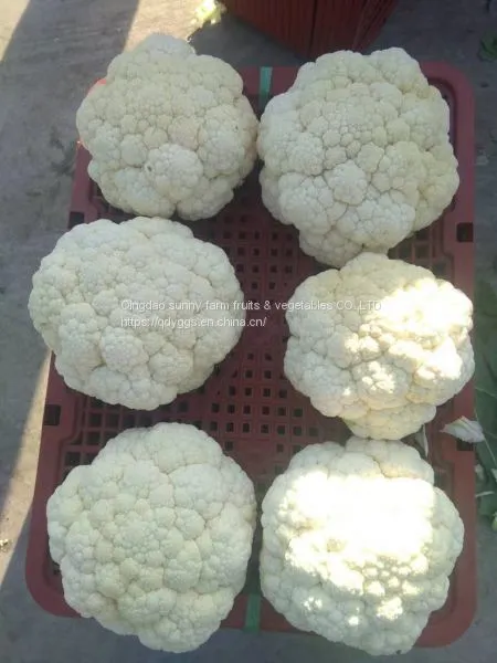 Fresh Cauliflower