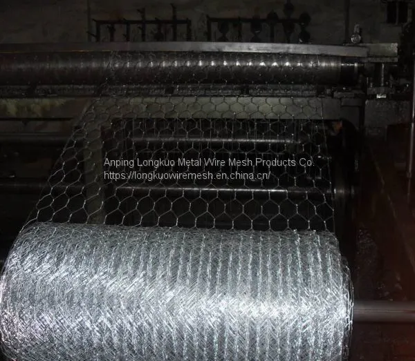 Hexagonal Wire Mesh/ Gabion Mesh/ Galvanized Hexagonal Mesh/ Pvc Coated Hexagonal Mesh/ Stainless Steel Hexagonal Mesh photo-3