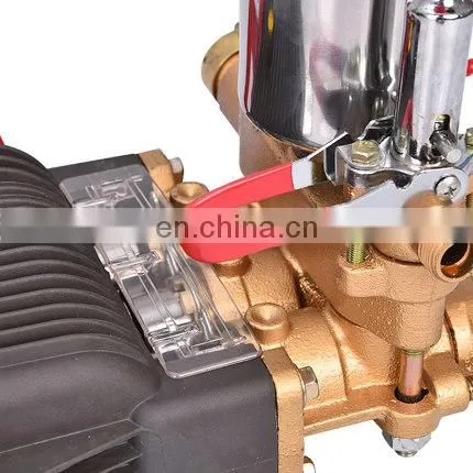 Truthworthy General Gasoline Engine Honda Plunger Pump Cheap and Hot Style photo-4