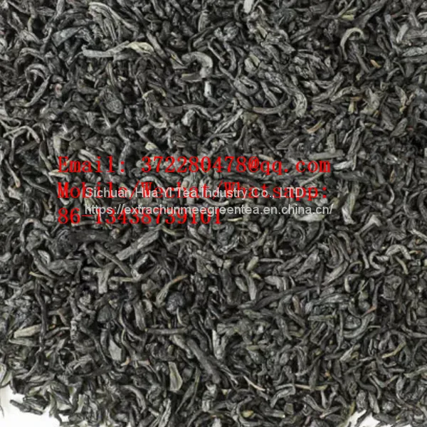 Sichuan Chunmee Green Tea 708 110 8810 8008 3010 for Uzbekistan Turkimenistan Tajikistan photo-2