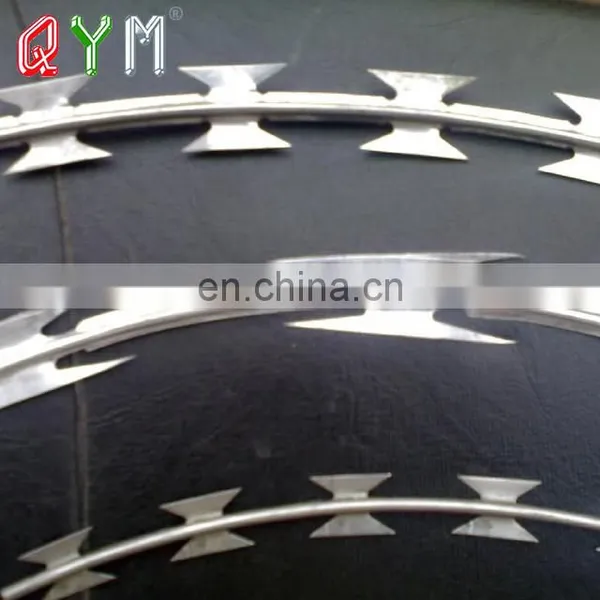 Hot Dipped Galvanized Concertina Razor Barbed Wire Price List photo-5