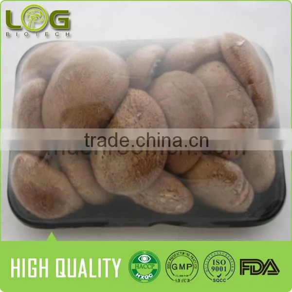 Hot Sale Smooth Surface Fresh Shiitake Mushroom photo-2