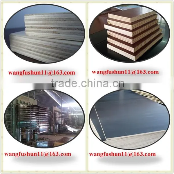 Black Film Faced Plywood/ 18mm Film Faced Plywood Made in China photo-3