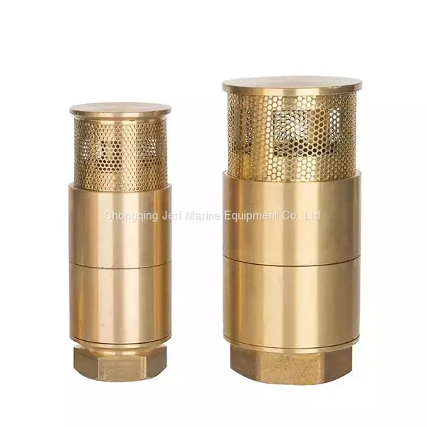 Double Foot Valve photo-4