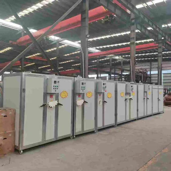 Stainless Steel 304 Industrial Drying Room for Fruits & Vegetables With Humidity Control photo-2