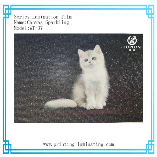Canvas Sparkling/WT-37: Photo Protection Film Cold Lamination Film for Wedding Album Wedding Frame Wall Frame Laminated Roll