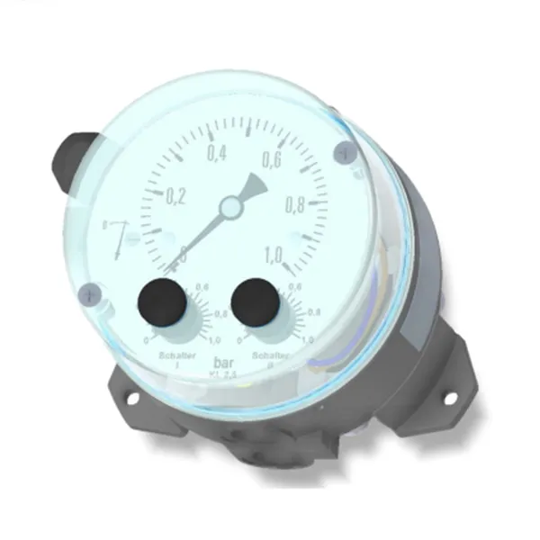 FISCHER DS11 Differential Pressure Indicator With Switch Option for Heating Systems Filter and Pump Monitoring Forward and Return