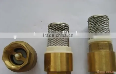 Brass One Way Check Valve photo-6