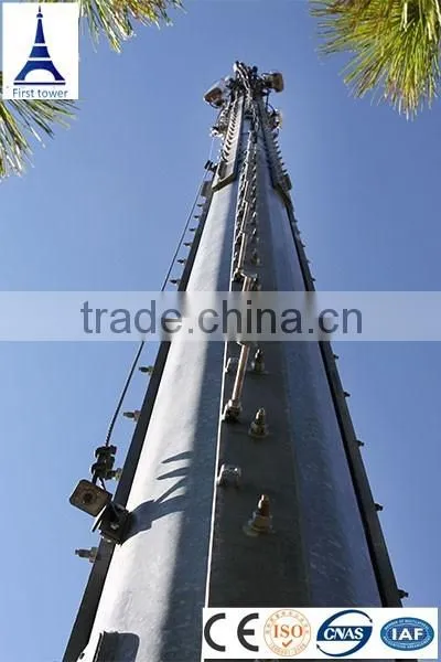 Monopole Cell Phone Signal Tower photo-5