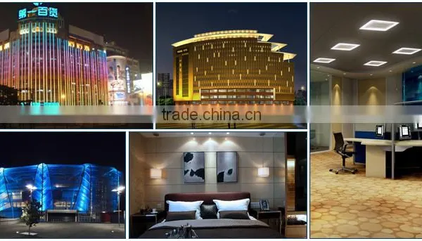High Quality Led Double Color Panel Light 2 Years Warranty China Supplier photo-4