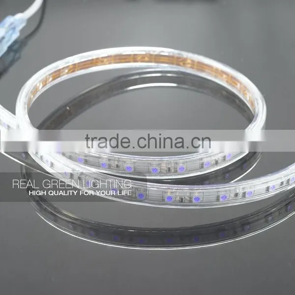 220V Waterproof Blue 5050 Flexible Led Strip Light photo-3