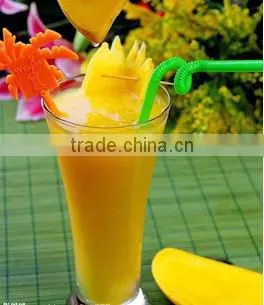 Fruit Pulp Extractor Machine on Sale photo-2