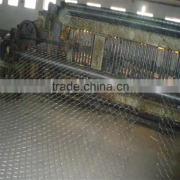 China Chicken Galvanized Hexagonal Wire Mesh With Low Price photo-4