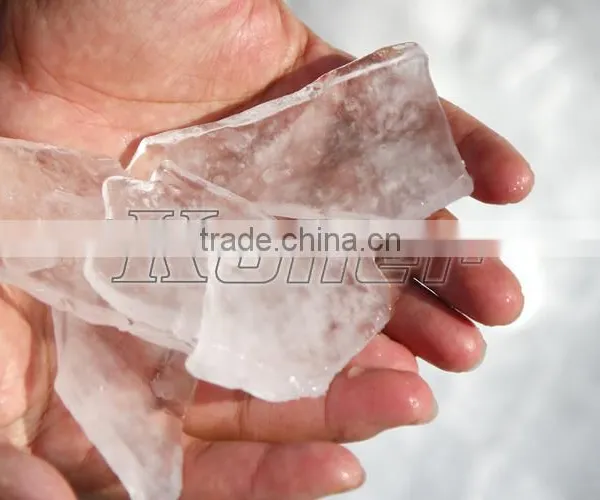 2000kg/day Plate Ice Maker Machine Similar With Flake Ice Machine photo-4