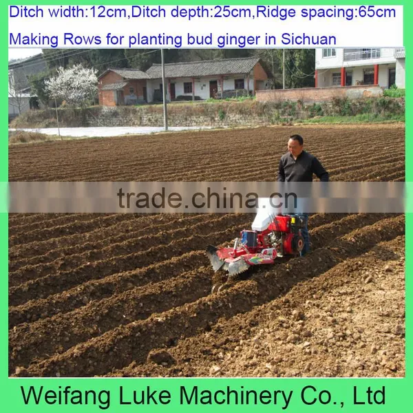 Cultivator Potato Garden Banking photo-5
