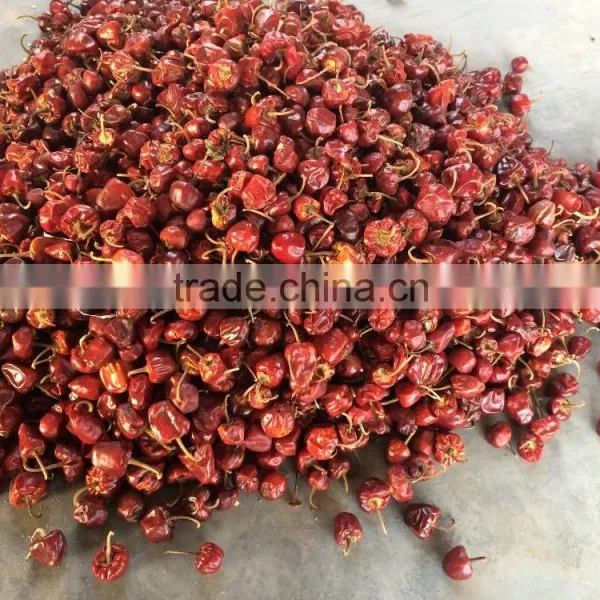 Round Red Chille Pepper photo-4