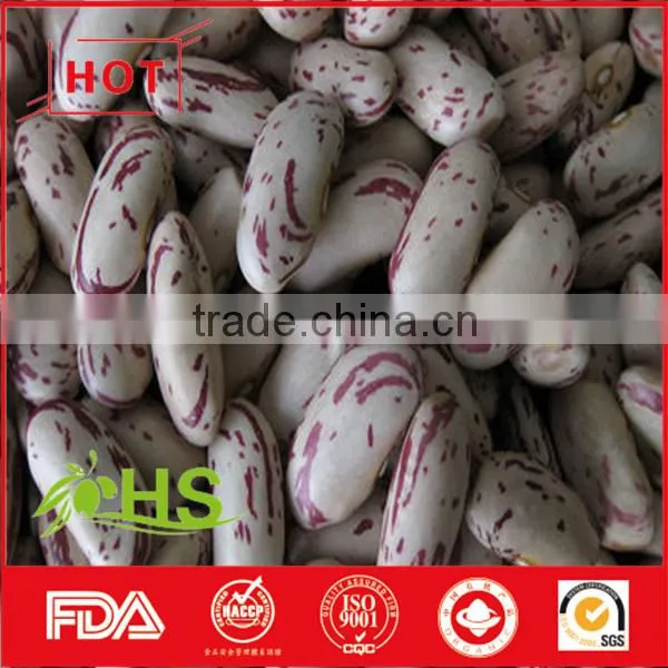 Light Coloured Speckled Kidney Beans With Great Quality photo-3