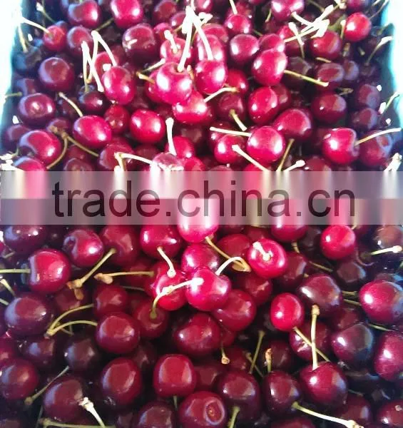 Fresh Cherries photo-4