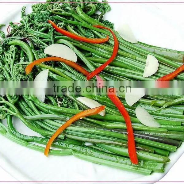 Salted Bracken(warabi) photo-4