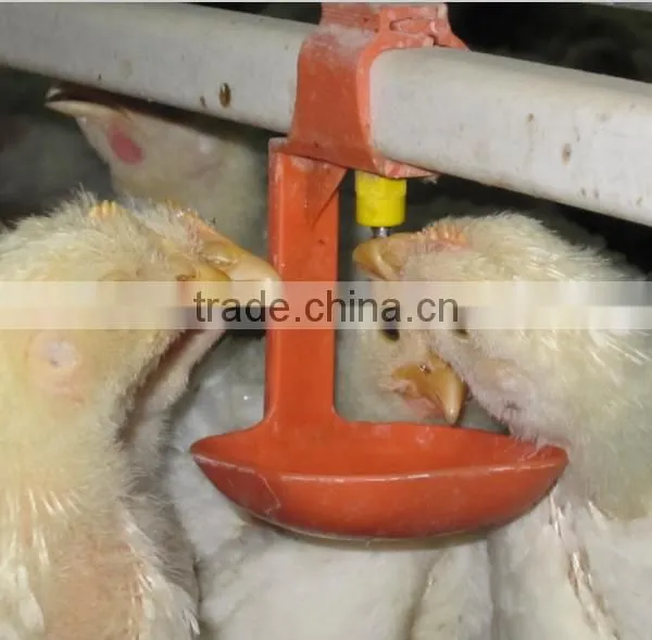 Automatic Nipple Drinking Equipment for Poultry Shed photo-2