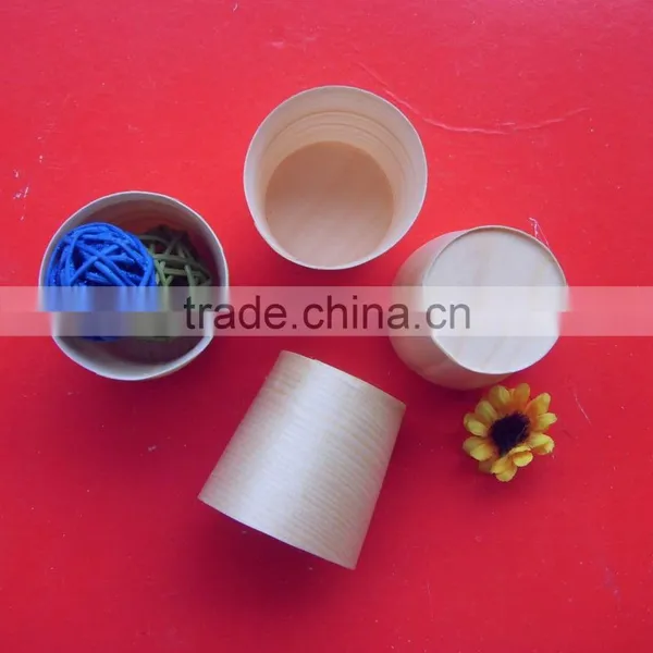 Biodegradable Cup
